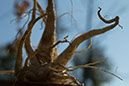 Besonderes Bild vom Betrieb