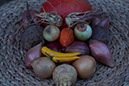 Besonderes Bild vom Betrieb