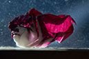 Besonderes Bild vom Betrieb