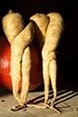 Besonderes Bild vom Betrieb
